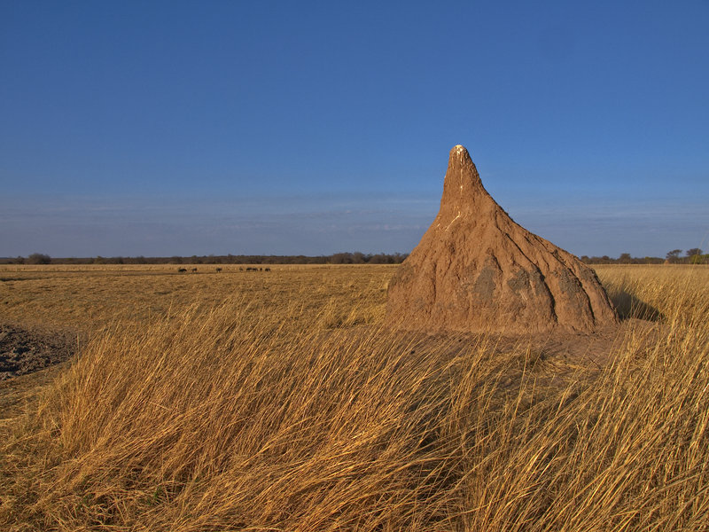 Waterberg